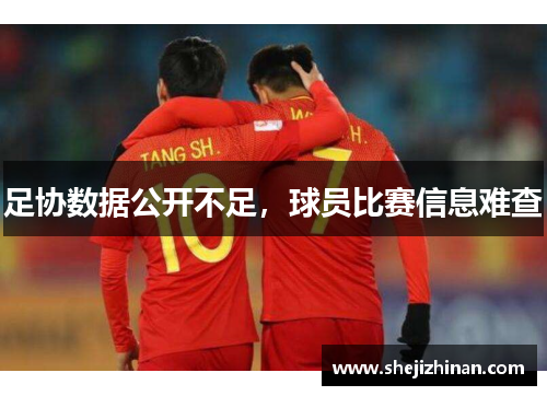 足协数据公开不足，球员比赛信息难查
